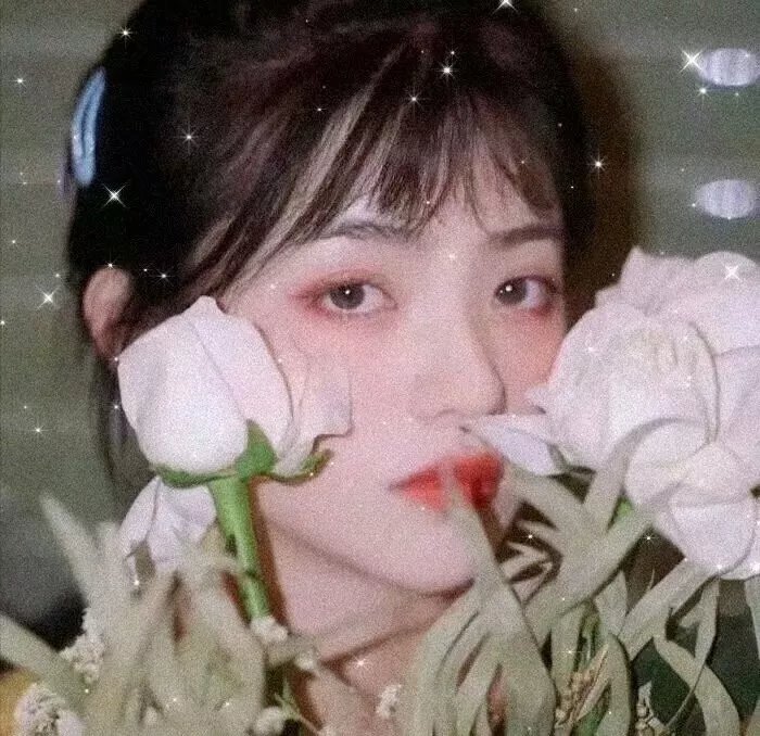 约会规则第二季 封面